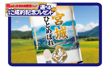 宮城県産ひとめぼれお米5Kg