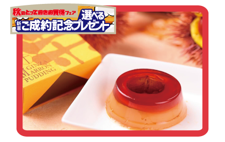 銀座千疋屋マロンプリン6個詰め合わせ