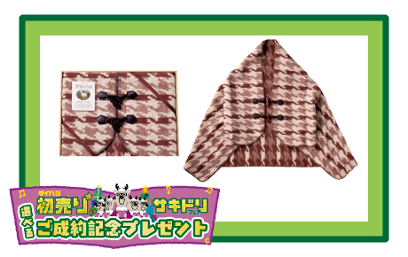 アルパカ入り はおれるケット