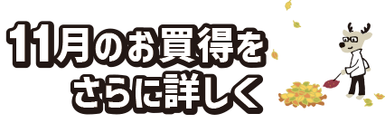 “11月お買得情報をさらに詳しく"