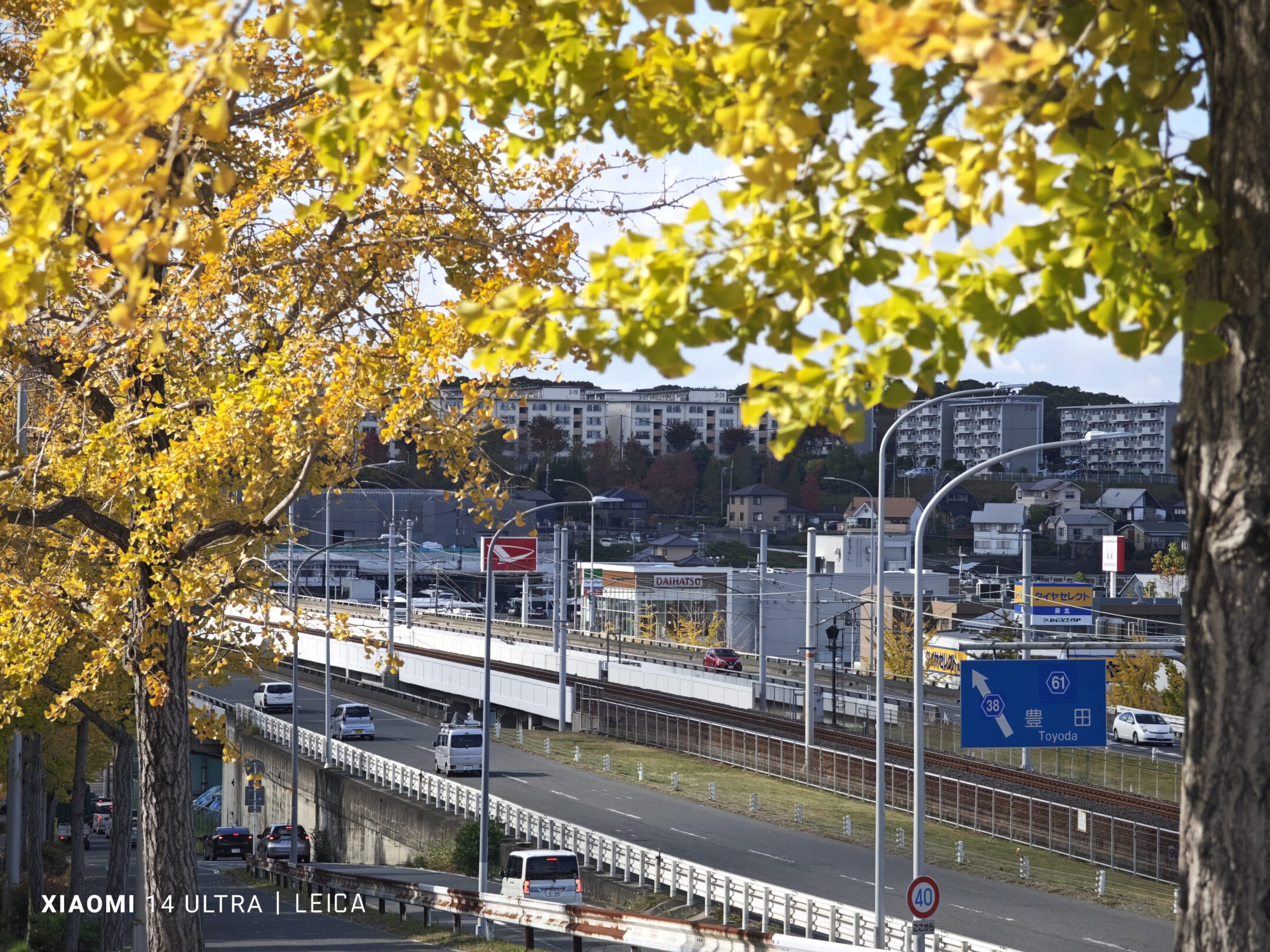 大阪ダイハツの秋！🍁紅葉が色づき始めた今がチャンス！ | 大阪