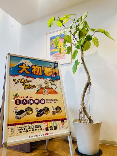 大初夢フェアポスター